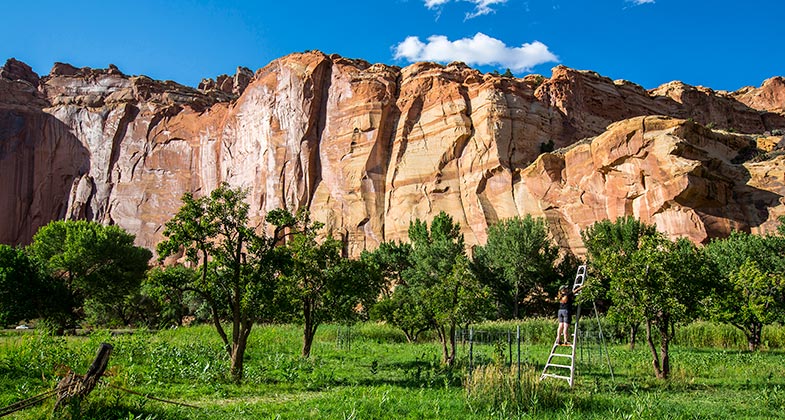 Capitol Reef National Park