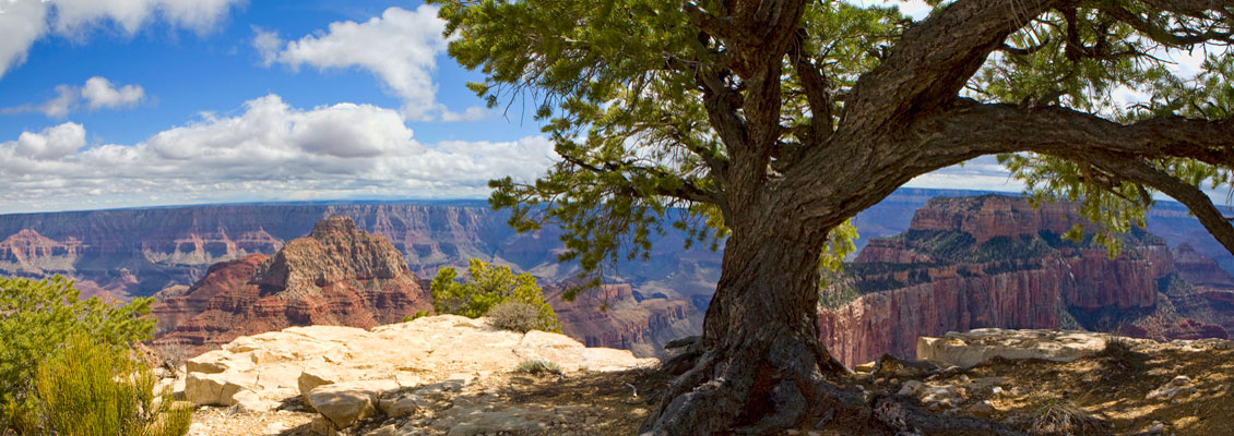 Visit the Grand Canyon in November