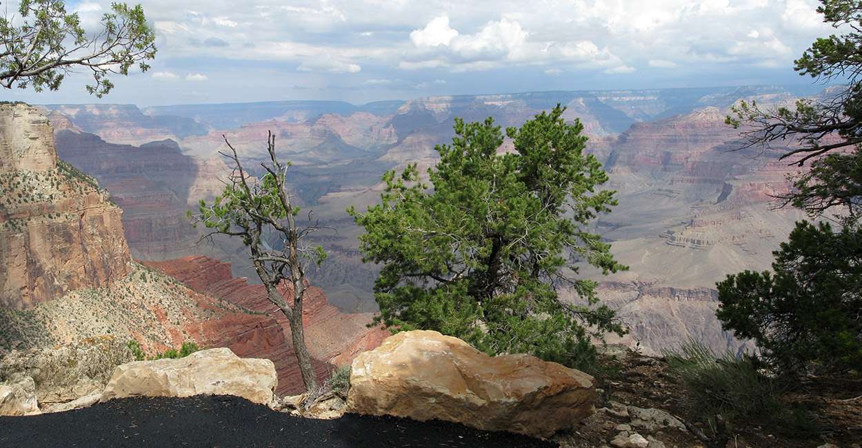 Parking - South Rim Visitor Center and Village - Grand Canyon National Park  (U.S. National Park Service)